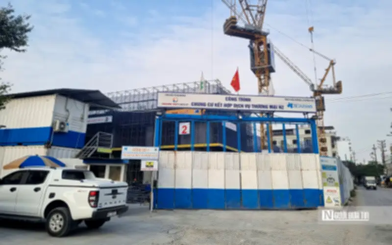 CRV Ghi Nhận Doanh Thu Giảm 95% Trong Quý III/2025, Tập Trung Vào Dự Án Hoàng Huy New City – II