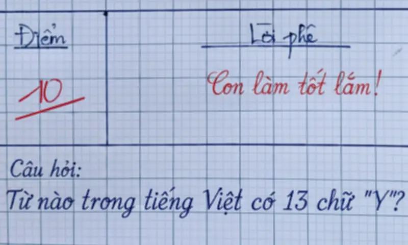 Câu đố 'Trái gì lúc nào cũng ngược?' khiến nhiều người bật cười vì đáp án bất ngờ
