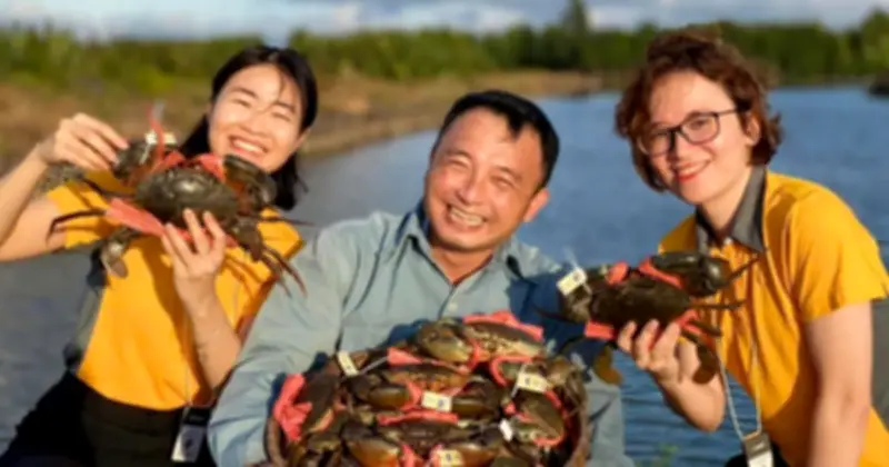 Cua Cà Mau tăng giá mạnh cận Tết, nông dân phấn khởi đón Xuân lớn