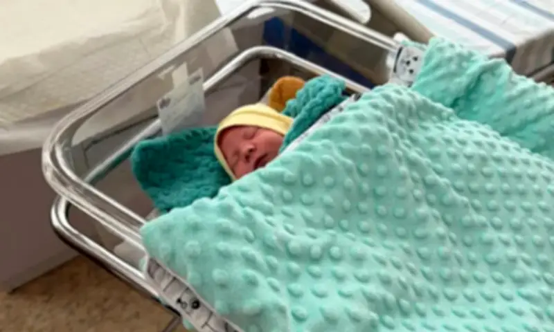 Cuộc chiến 'bảo tồn nòi giống' trong ống nghiệm tại Ukraine giữa làn đạn