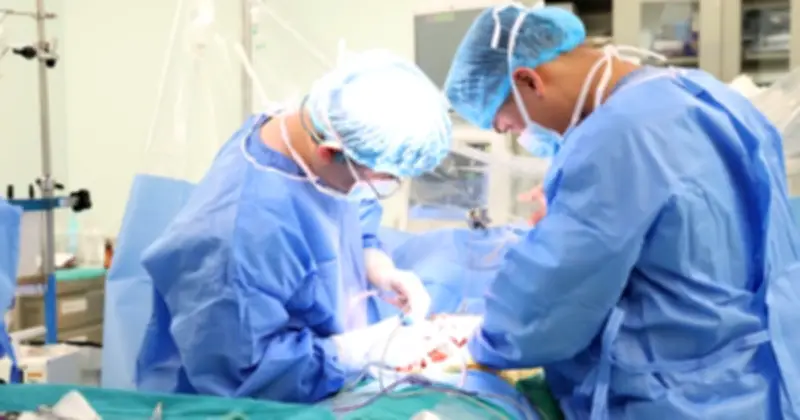 Cuộc đua với thời gian: Ghép gan cấp cứu cứu sống bệnh nhân 65 tuổi trước thềm Tết