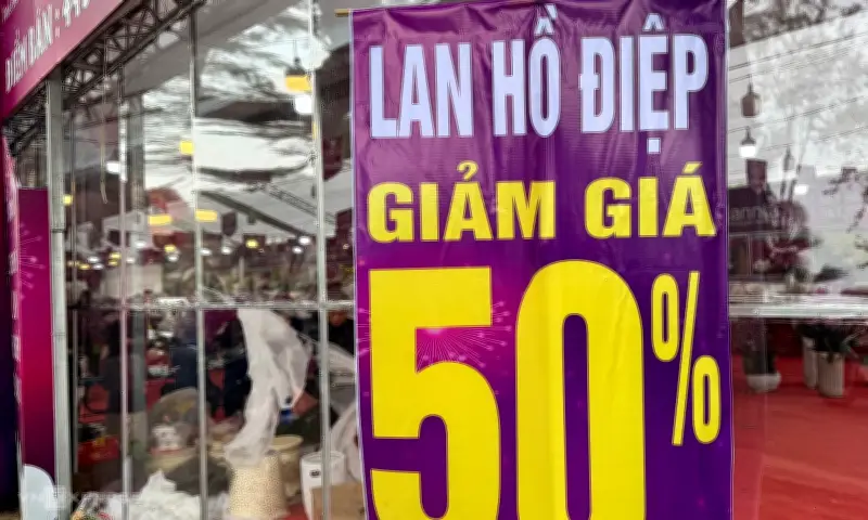 Cây cảnh, hoa Tết giảm giá mạnh 50% để xả hàng sớm tại Hà Nội
