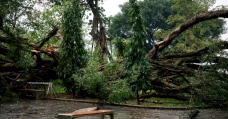 Cây Gãy Đổ Ở Vườn Hoa Lý Tự Trọng: Một Người Thoát Nạn, Một Người Bị Thương