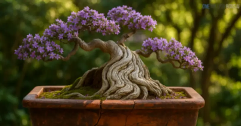 Cây Linh Sam: Ý Nghĩa Phong Thủy Và Kỹ Thuật Trồng Chi Tiết