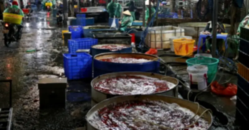 Cá Chép Ông Công Ông Táo Giảm Giá Mạnh, Chợ Lớn Hà Nội Vẫn Vắng Khách Mua