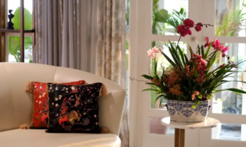 Cách bài trí lan hồ điệp chuẩn sang, giữ hoa tươi lâu ngày Tết