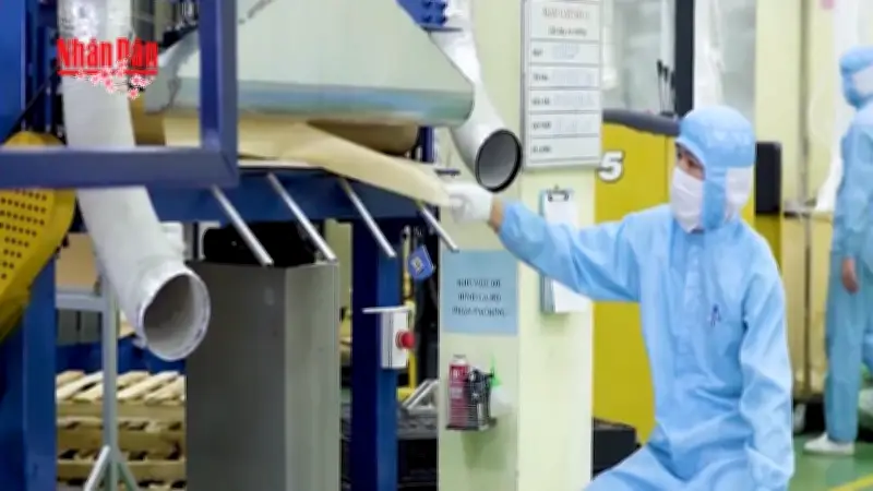 Dự báo khát lao động sau Tết 2026: Những ngành nghề nào cần nhiều nhân lực?