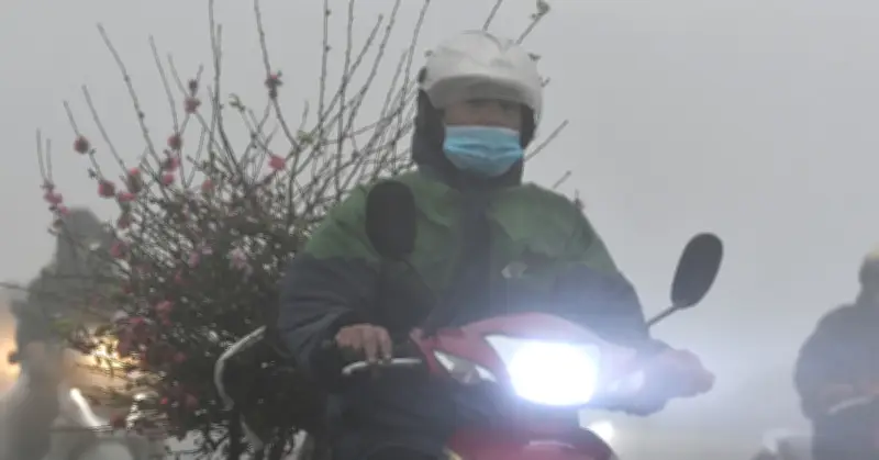 Dự báo thời tiết 12/2/2026: Miền Bắc mưa phùn, sương mù, phía Đông trời âm u