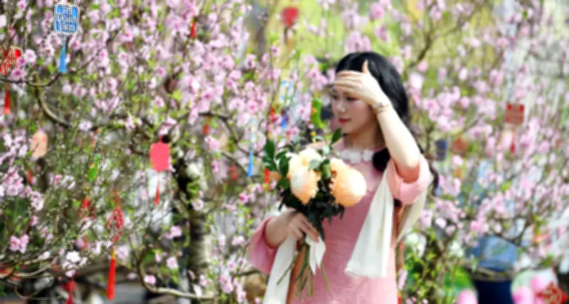 Dự báo thời tiết 15/2/2026: Miền Bắc nắng ấm, nhiệt độ lên đến 28 độ C