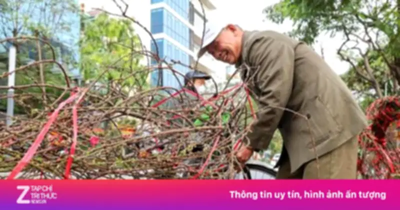 Dự báo thời tiết 29 Tết: Miền Bắc nắng ấm trước khi đón không khí lạnh đúng mùng 1