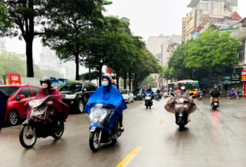 Dự báo thời tiết Tết Giáp Thìn: Miền Bắc mưa phùn, rét đậm sau mùng 5