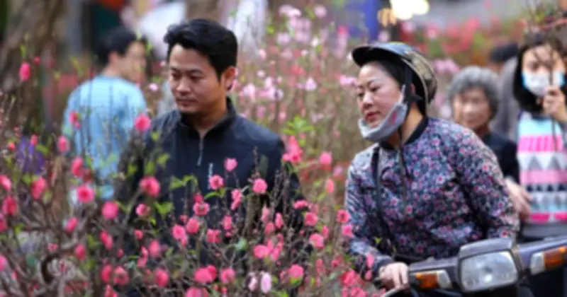 Dự báo thời tiết Tết Nguyên đán 2026: Miền Bắc đón rét đậm, cả nước biến động