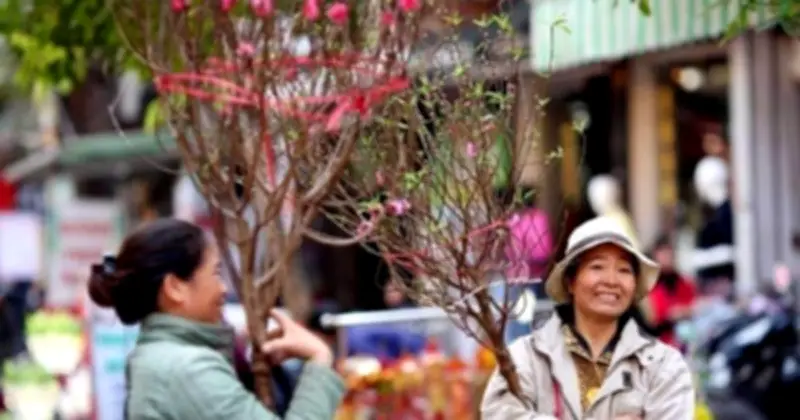 Dự báo thời tiết Tết Nguyên đán 2026: Miền Bắc rét đậm, miền Trung và Nam nắng ấm