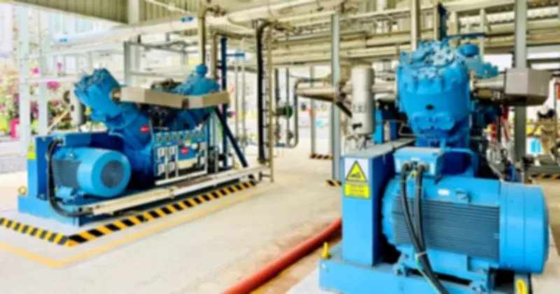 Dự án CO₂ Cà Mau: Giảm 70 tấn khí thải mỗi ngày, tạo doanh thu 50 tỉ đồng