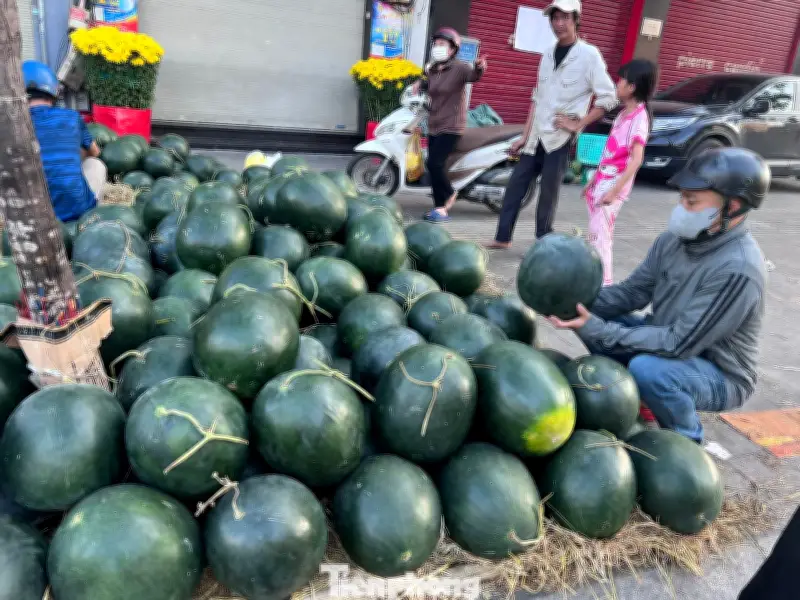 Dưa hấu Tết giảm giá mạnh tại TP.HCM, chỉ còn 5.000 đồng/kg cuối ngày