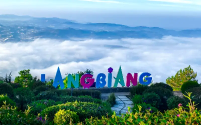 Dalattourist: Hành trình 50 năm kiến tạo thương hiệu quốc gia và trải nghiệm du xuân Đà Lạt 2026