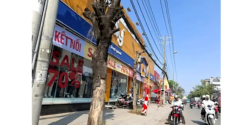 Cây chết khô đe dọa an toàn người dân tại TP.HCM