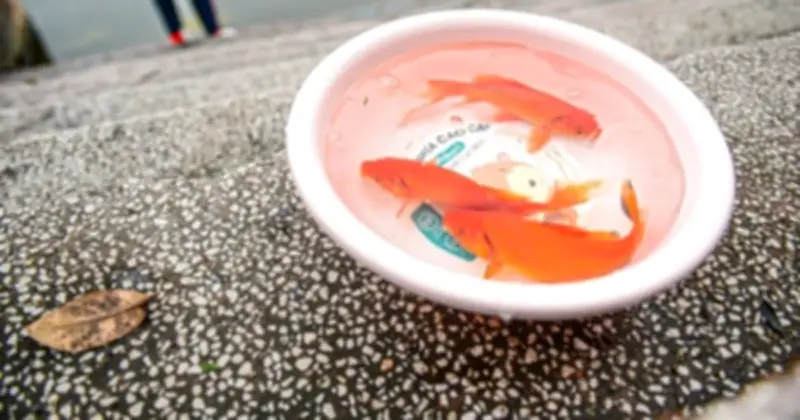 Ý nghĩa sâu sắc của ngày cúng ông Công ông Táo: Đừng để nghi lễ trở thành cuộc mặc cả