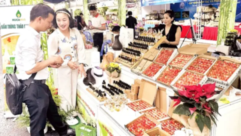 Doanh nghiệp nhỏ đối mặt thách thức: Thiếu đơn hàng, vốn và năng suất thấp