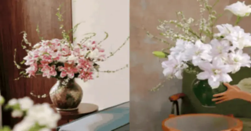 Ly Kép Mix Tuyết Mai: Xu Hướng Trang Trí Tết 2026 Được Dân Mê Decor Săn Đón