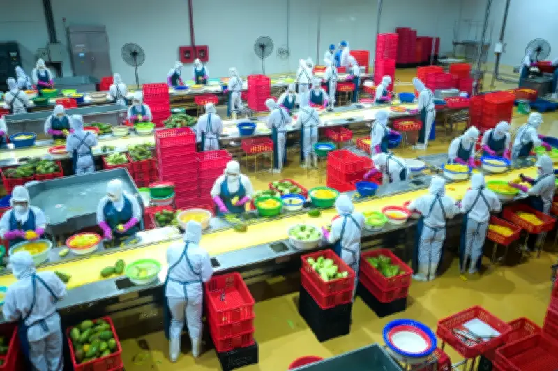 DOVECO: Từ 'địa chỉ đỏ' lịch sử đến đế chế nông sản xuất khẩu hàng đầu