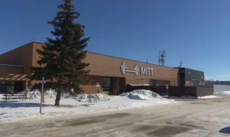 Du học sinh đến Canada giảm 61% sau cơn lốc siết thị thực, trường học đối mặt nguy cơ đóng cửa