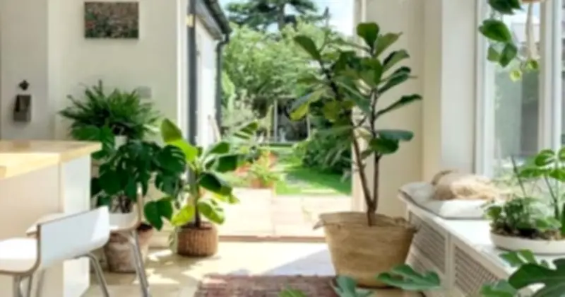 Dấu hiệu ngôi nhà mang 'phúc khí': Ở càng lâu càng có lợi cho sức khỏe và tài vận