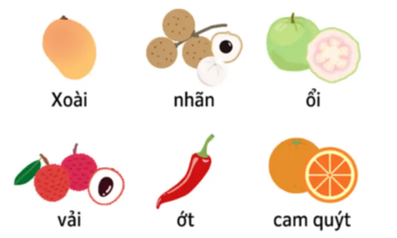 Du khách cần lưu ý những vật dụng bị cấm khi nhập cảnh vào Nhật Bản