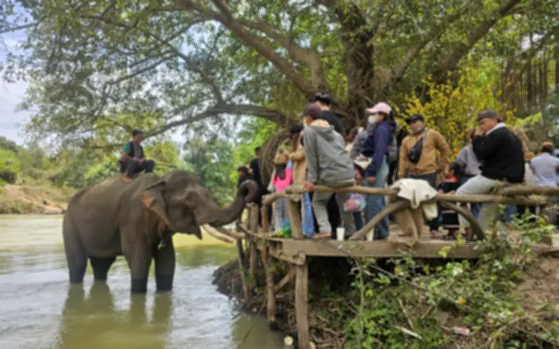 Du khách tuổi Ngọ đổ về Buôn Đôn nhận ưu đãi miễn phí dịp Tết