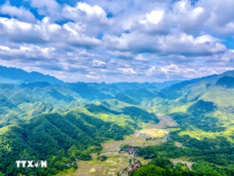 Du Lịch Rừng Biển Hấp Dẫn Du Khách Những Ngày Đầu Xuân