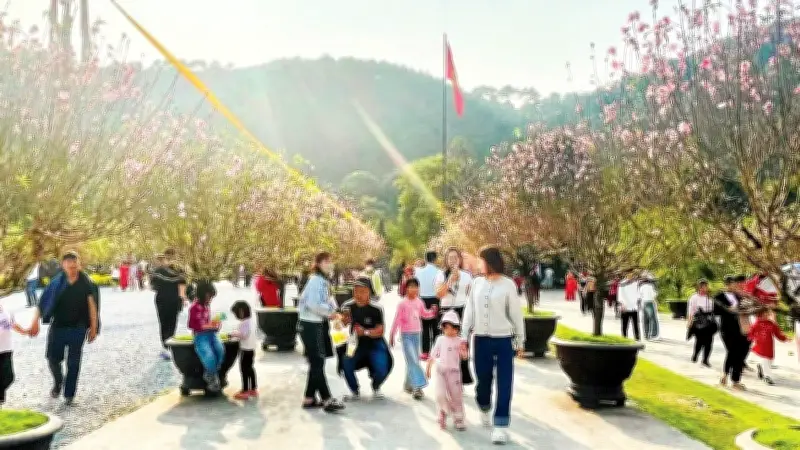 Du lịch Việt bội thu dịp Tết Nguyên đán 2026 với 14 triệu lượt khách