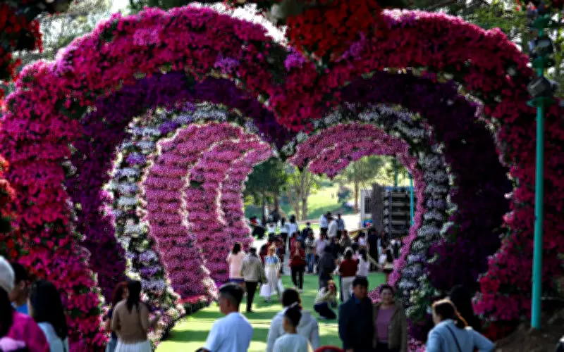 Du lịch Việt Nam 2026: Chuyển mình từ lượng sang chất, hướng tới bền vững