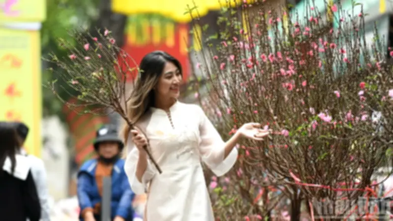 Du lịch Việt Nam bứt phá: Vượt mốc 21 triệu khách quốc tế, hướng tới 25 triệu năm 2026