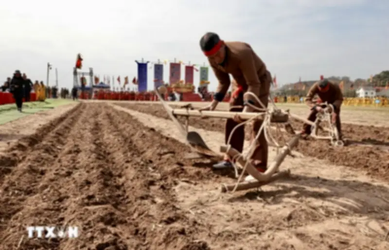 Du Xuân 2026: 4 Lễ Hội Lớn Tại Ninh Bình Hứa Hẹn Thu Hút Du Khách