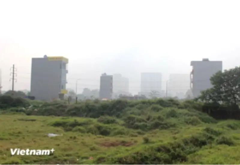 Doanh nghiệp bị thu hồi hơn 5.800 m2 đất do vi phạm quy định sử dụng đất