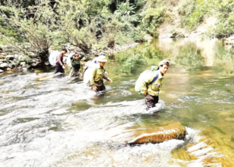 ERPA - Cứu Cánh Tài Chính Cho Bảo Vệ Rừng Nghệ An, Mang Lợi Ích Thiết Thực Cho Cộng Đồng