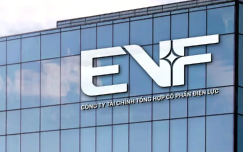 EVF khép lại năm 2025 với lợi nhuận trước thuế vượt 1.000 tỷ đồng, tăng 57%