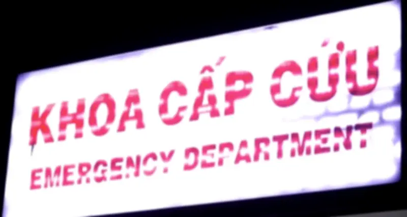 Cả Gia Đình TP.HCM Nhập Viện Sau Bữa Cơm Cá Biển, Nghi Ngộ Độc Ciguatoxin