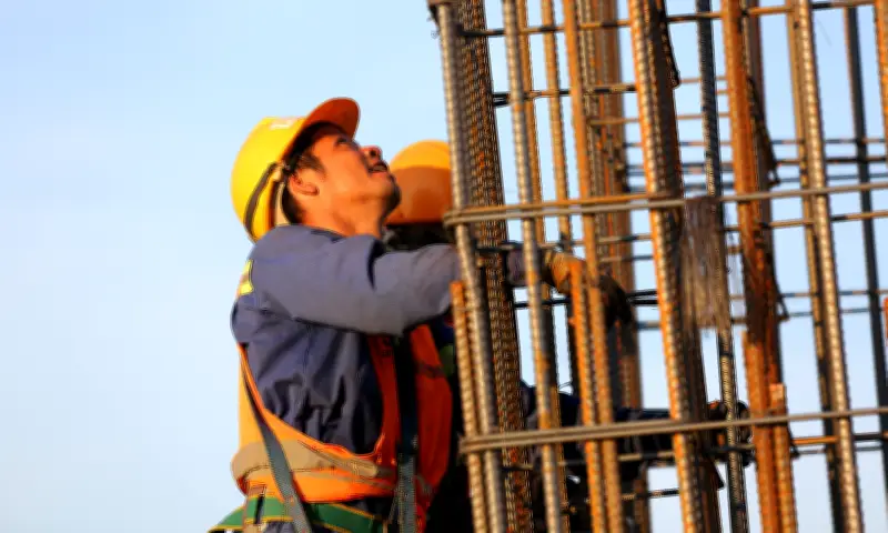 Fecon Đính Chính Doanh Thu Quý IV, Giảm Hơn Nghìn Tỷ Đồng Vì 'Sai Sót In Ấn'