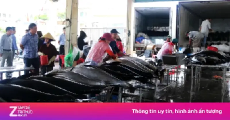 Gỡ 'thẻ vàng' thủy sản: Lãnh đạo Bộ NN&MT cảnh báo không còn chỗ cho chủ quan, hình thức