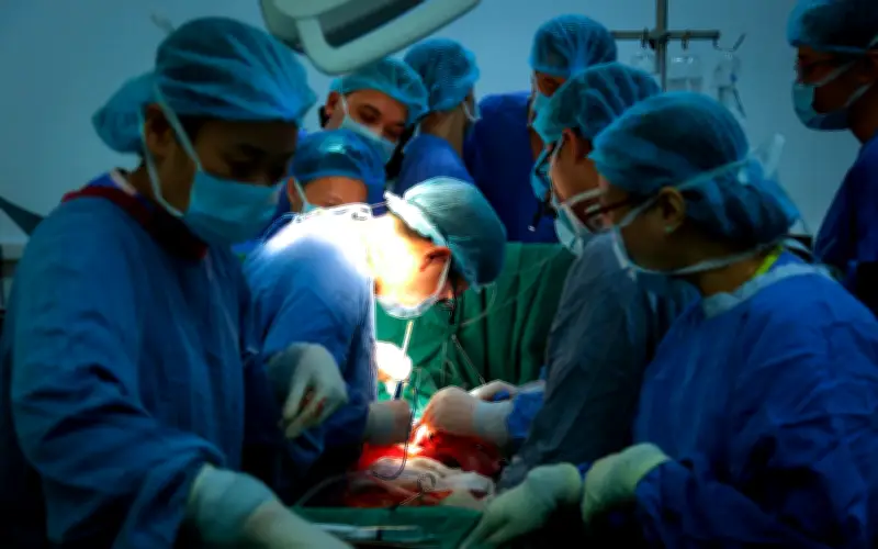 Ghép tạng Việt Nam: Hành trình từ 'ngoài tầm với' đến sánh vai thế giới