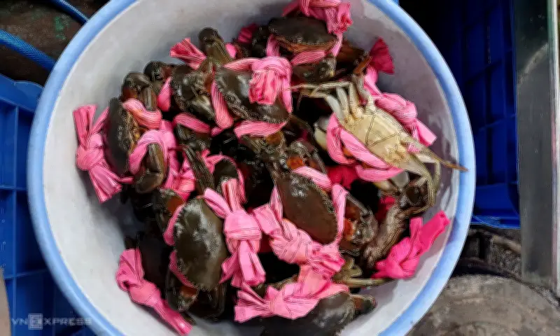 Giá Cá Lóc, Tôm Cua Tăng Vọt 30-50% Dịp Vía Thần Tài Tại TP HCM