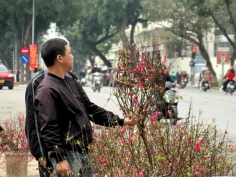 Giá cả ổn định, không có 'sốt giá' dịp Tết Nguyên đán Bính Ngọ 2026