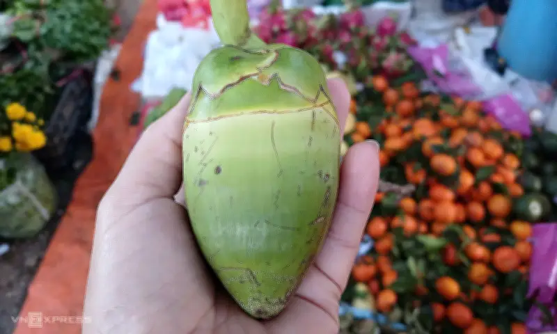 Giá dừa, dứa mini bày mâm ngũ quả tăng gấp 3-5 lần sát Tết do nguồn cung khan hiếm