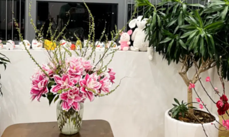 Giá hoa ly tăng gấp 10 lần trước Tết, người tiêu dùng 'quay xe' sang loại hoa khác