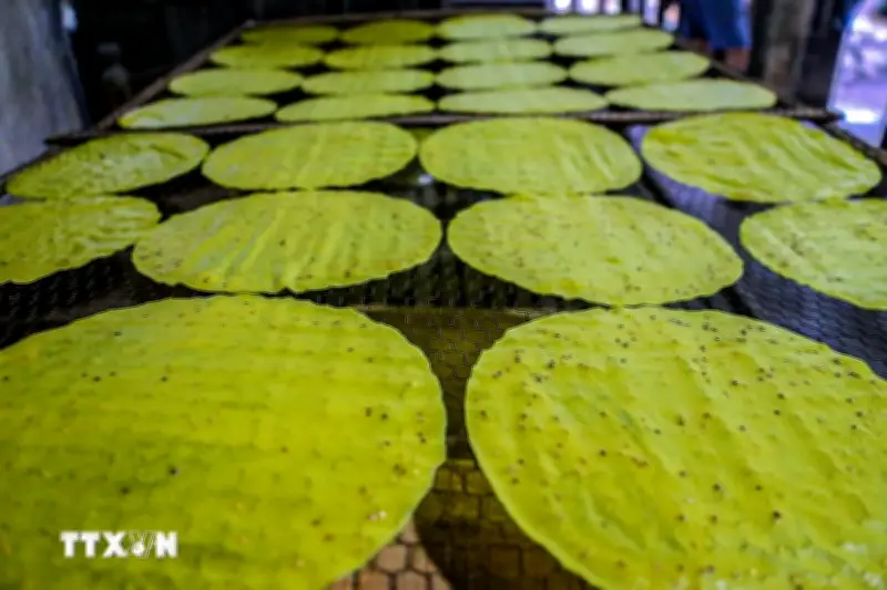 Giữ Lửa Làng Nghề Bánh Tráng Hơn 300 Năm Tuổi Ở Cố Đô Huế