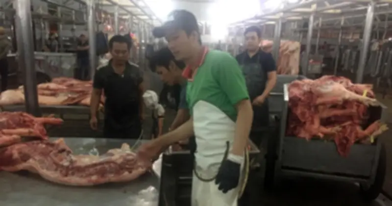 Giá thịt heo tại TPHCM giảm sâu do cung tăng, cầu yếu trong tháng Giêng