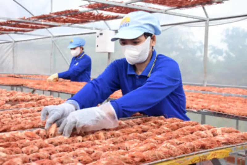 Giá Tôm Khô, Cua Gạch Cà Mau Tăng Mạnh Dịp Cận Tết, Nhiều Cơ Sở Cháy Hàng