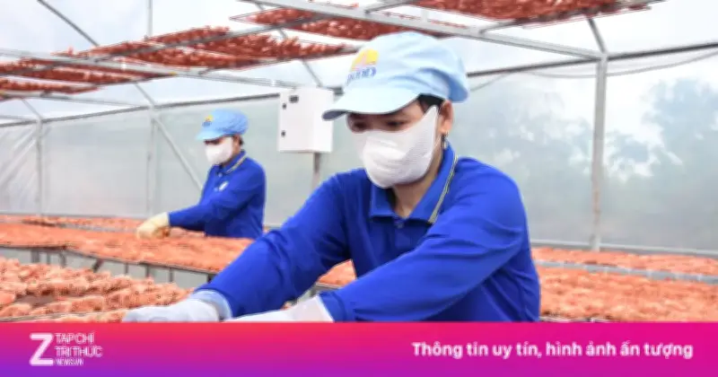 Giá Tôm Khô, Cua Gạch Cà Mau Tăng Vọt Cận Tết, Nhiều Cơ Sở Cháy Hàng