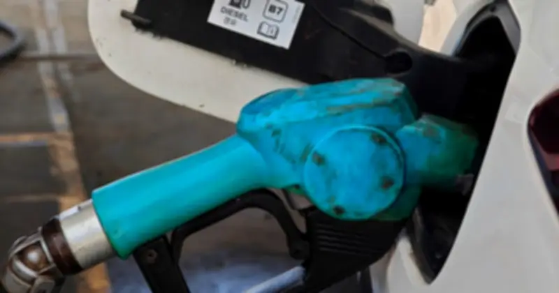 Giá xăng dầu chững lại, dự báo giảm nhẹ từ chiều mùng 4 Tết Nguyên đán